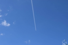 DSC_0941