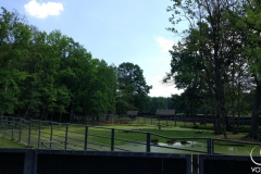 IMG_20170731_130151
