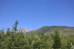 IMG_20170802_082458
