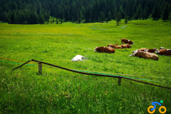IMG_20210629_110456