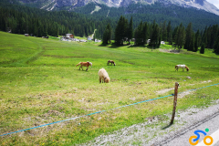 IMG_20210629_123544