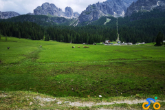 IMG_20210629_123553