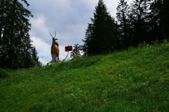 IMG_20210629_142346