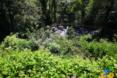IMG_20210702_155606