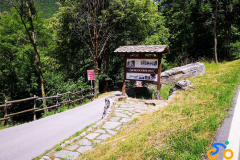 IMG_20210705_115002