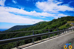 IMG_20210705_121050